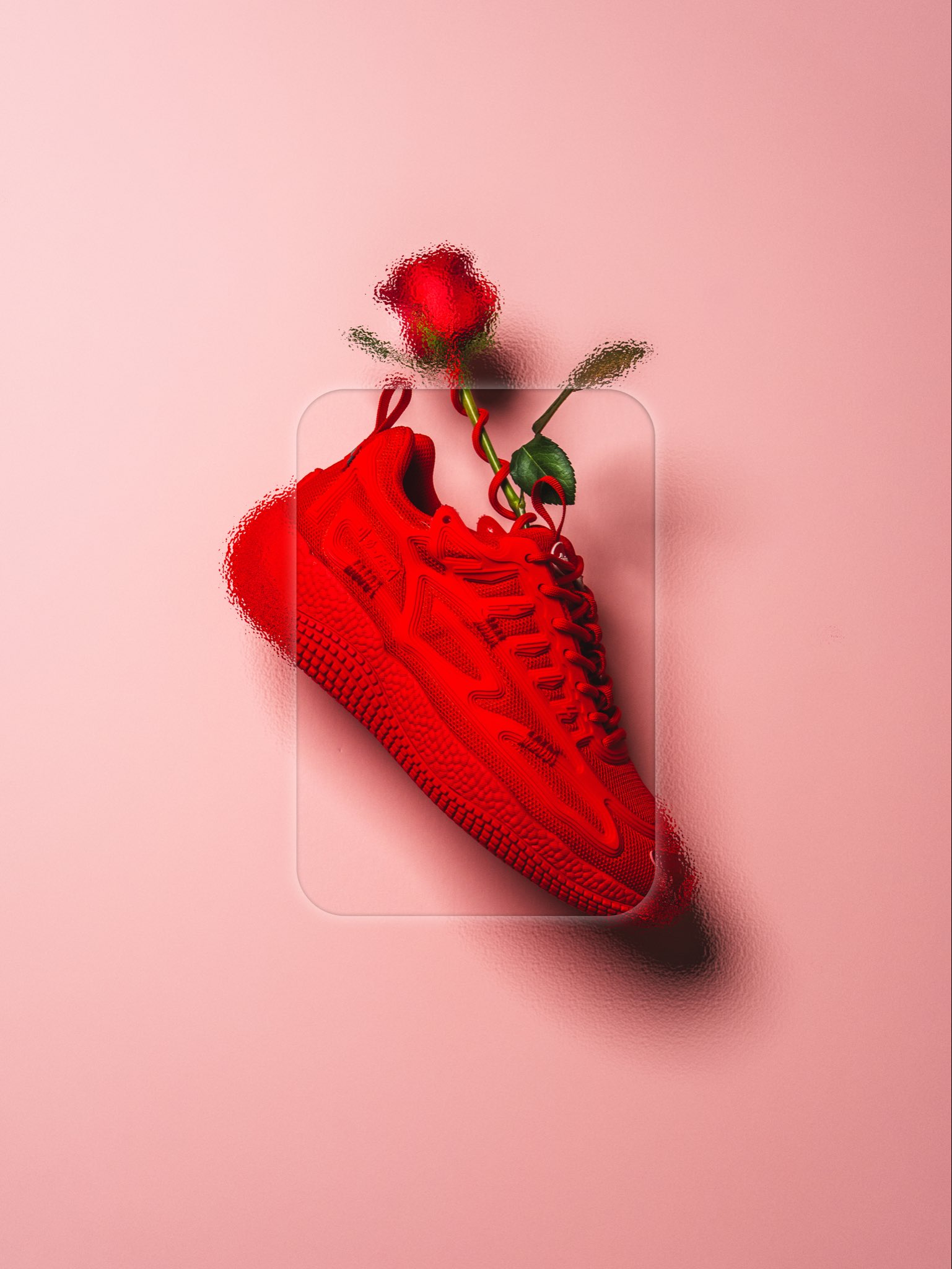 Red Rose — Studio Composite
